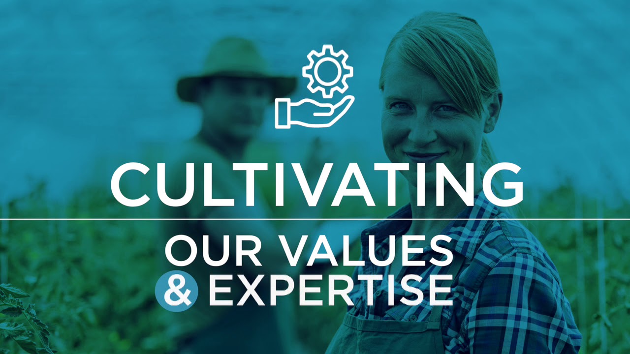 mission-&-values Our Mission